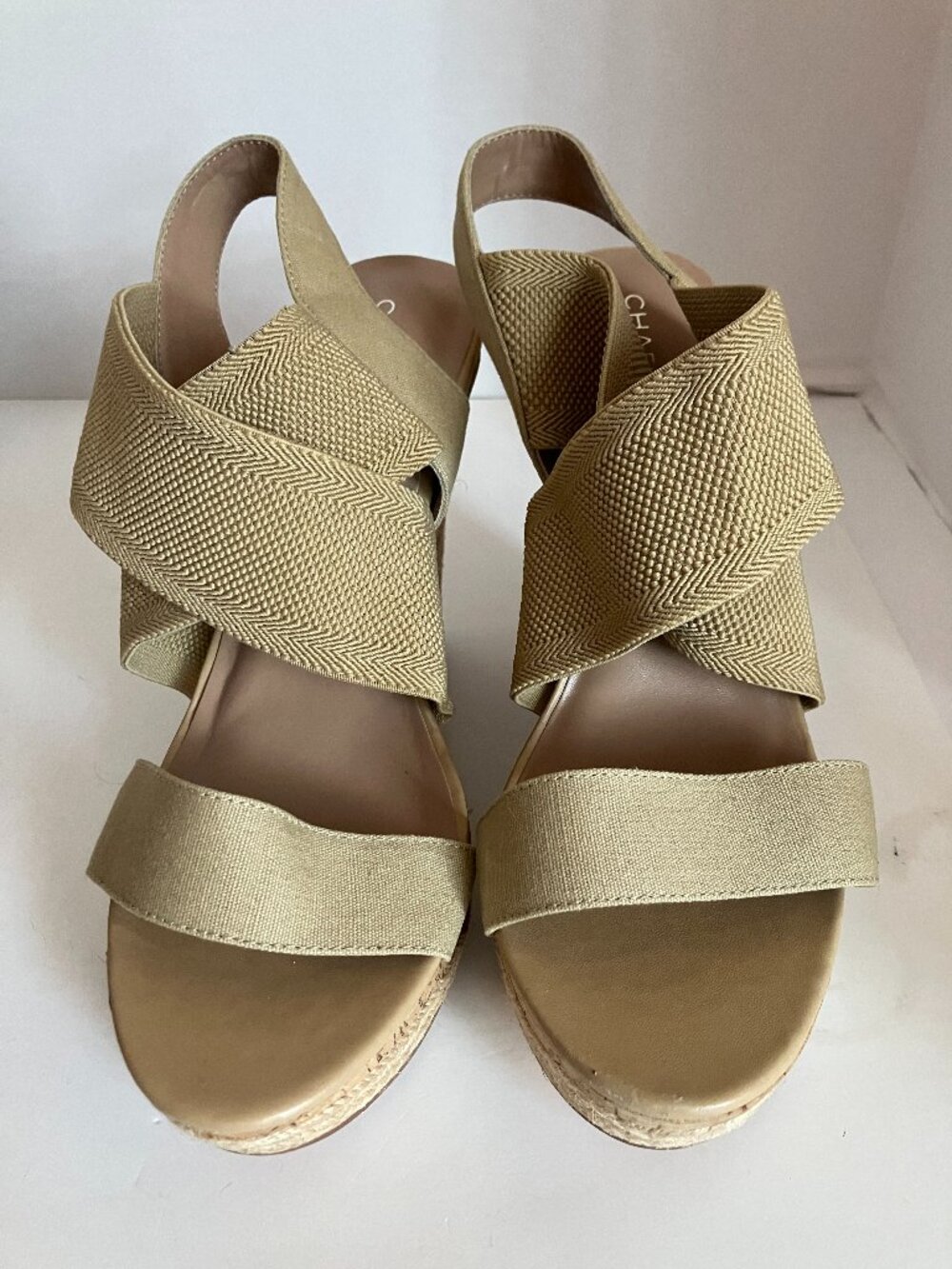 Charles By Charles David Allison Wedge Beige Platform Strappy Sandal Women’s 10